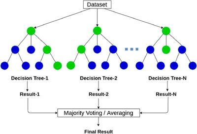 Estimation of slope stability using ensemble-based hybrid machine learning approaches
